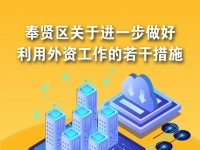 奉賢區(qū)關(guān)于進一步做好利用外資工作的若干措施