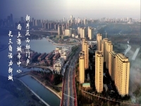 奉賢園區(qū)注冊公司直招，2025招商引資政策