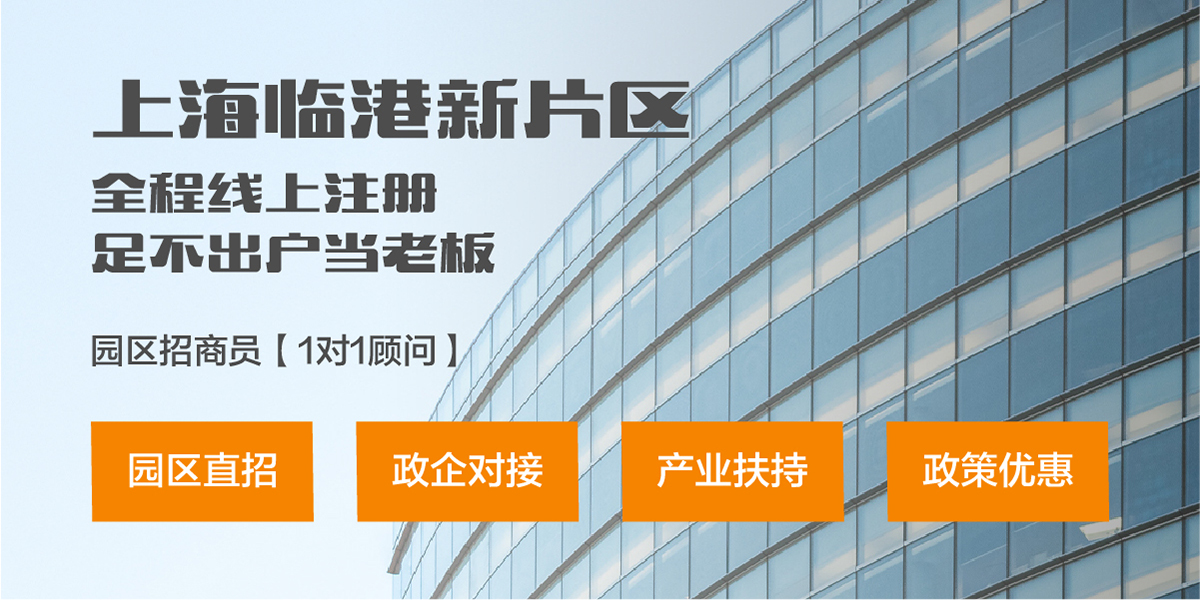 臨港注冊公司