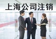 上海奉賢經(jīng)濟園區(qū)-專家全程辦理公司注銷流程