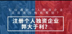 注冊個人獨資企業(yè)的優(yōu)勢-上海奉賢經(jīng)濟(jì)園區(qū)，園區(qū)直招0元注冊公司！